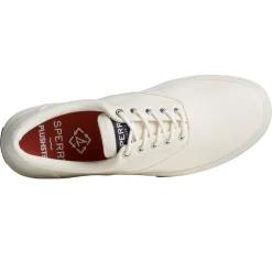 Men's Sperry, Halyard CVO Plushstep Sneaker