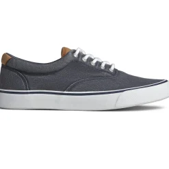 Men's Sperry, Striper II CVO Sneaker