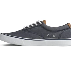 Men's Sperry, Striper II CVO Sneaker