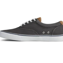 Men's Sperry, Striper II CVO Sneaker