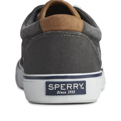 Men's Sperry, Striper II CVO Sneaker